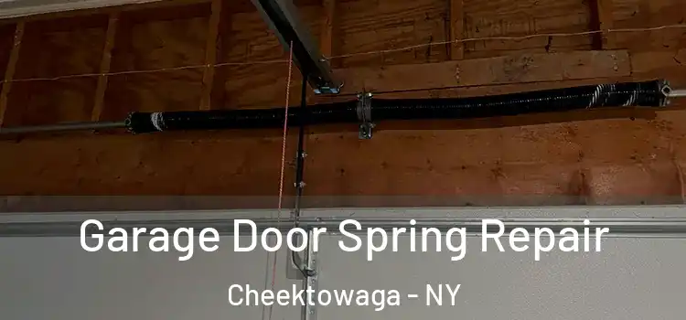  Garage Door Spring Repair Cheektowaga - NY