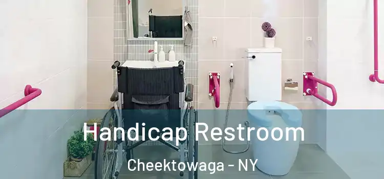 Handicap Restroom Cheektowaga - NY