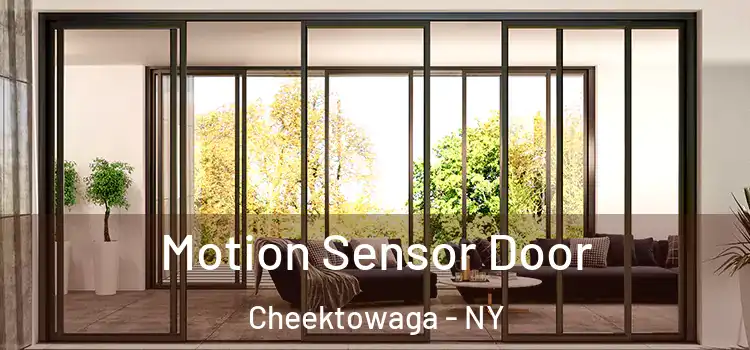 Motion Sensor Door Cheektowaga - NY